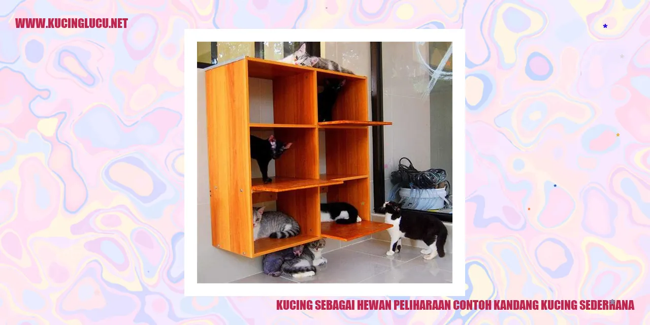Kandang Kucing Sederhana