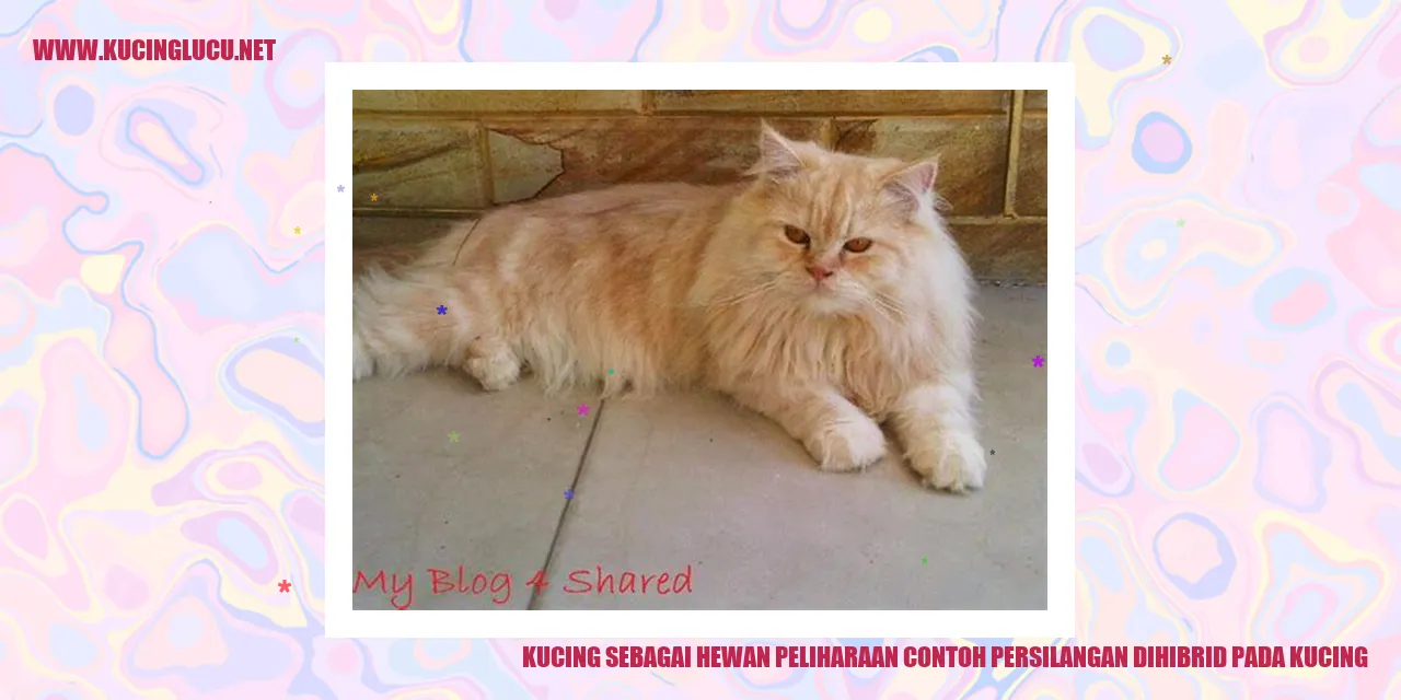 Contoh persilangan dihibrid pada kucing