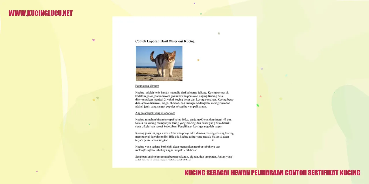 Contoh Sertifikat Kucing