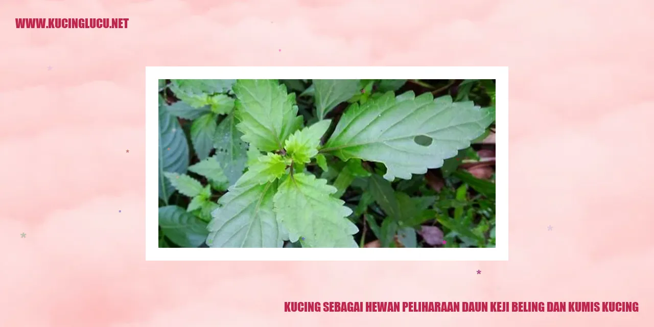 Kucing sebagai Hewan Peliharaan
