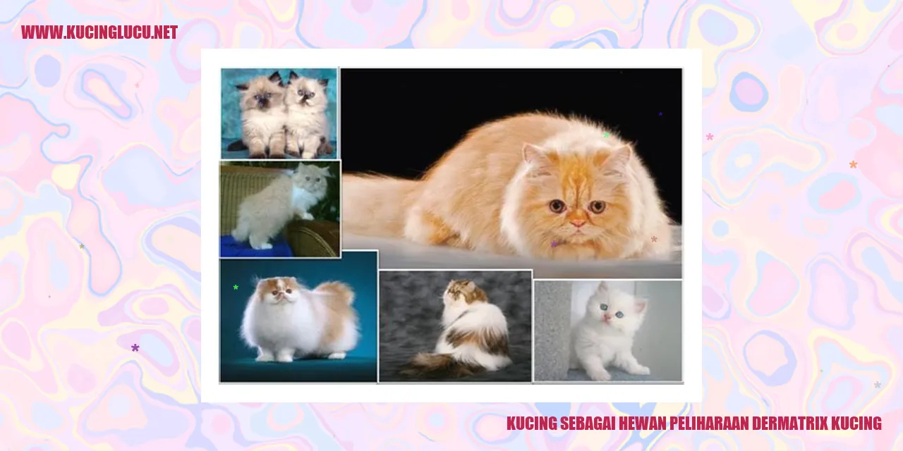 Kucing sebagai Hewan Peliharaan
