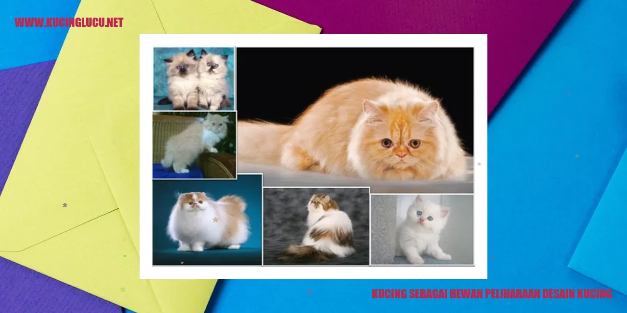 Kucing Berpenampilan Menggoda