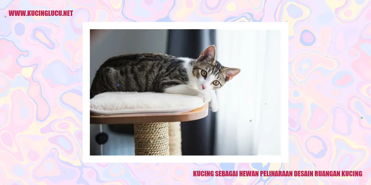 gambar kucing