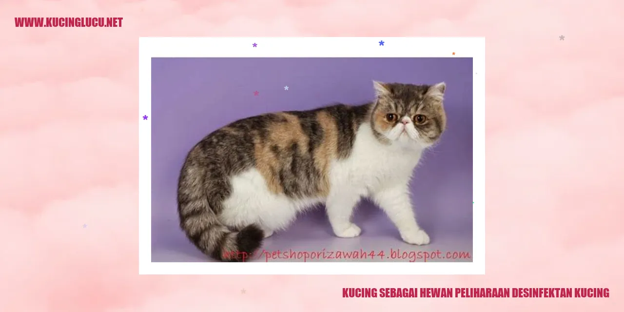 Kucing Sebagai Hewan Peliharaan Desinfektan