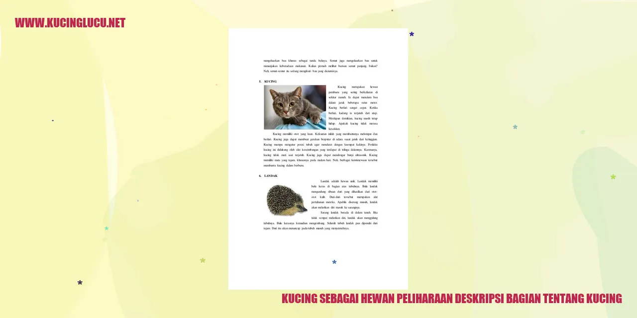 kucing