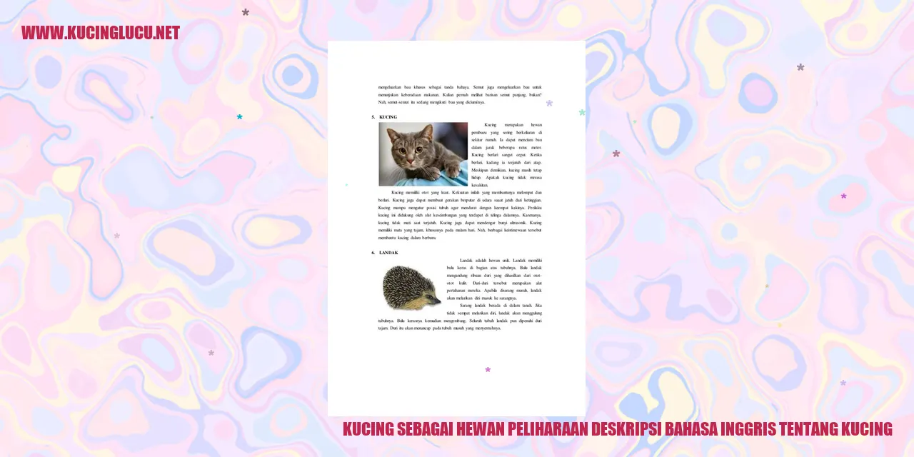 Gambar kucing
