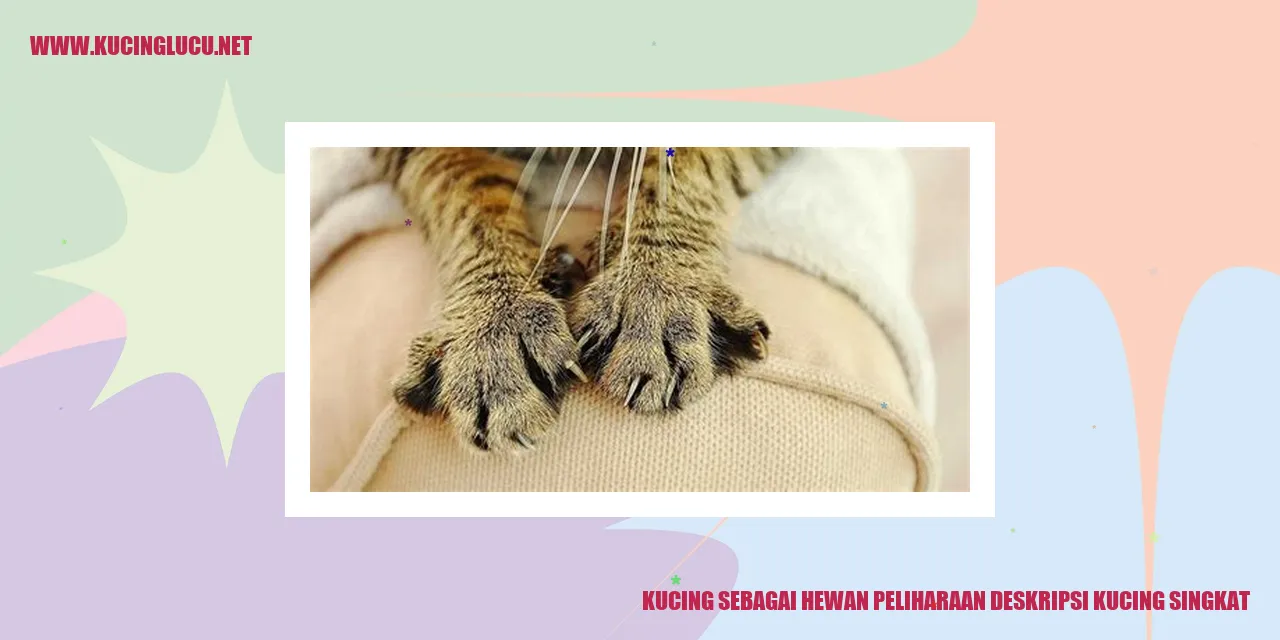 Deskripsi kucing singkat