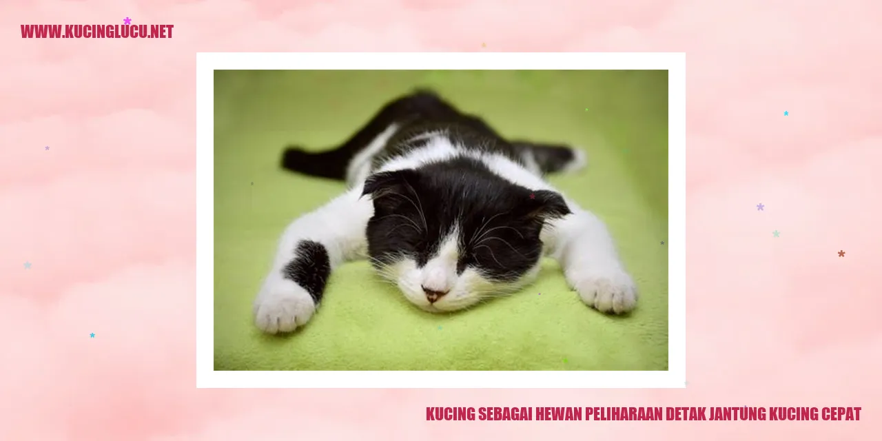 Kucing sebagai Hewan Peliharaan