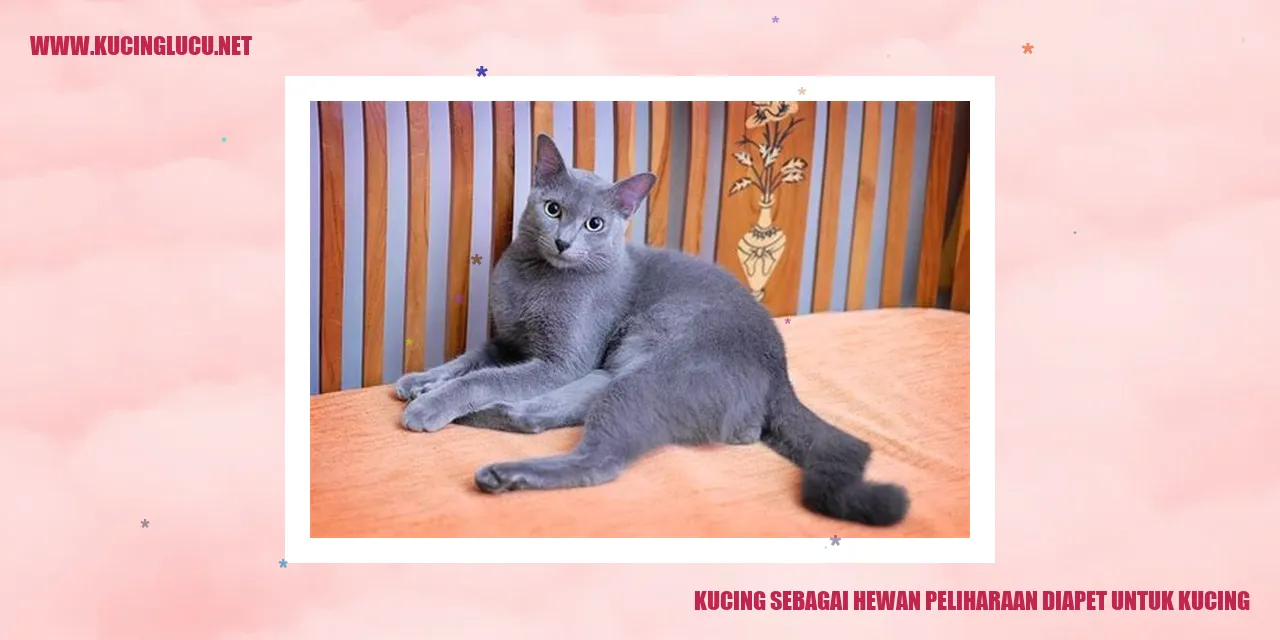 gambar kucing yang menggemaskan