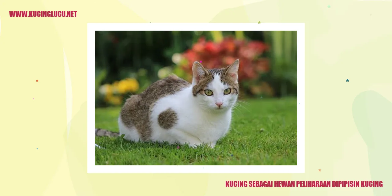 Kucing menggemaskan