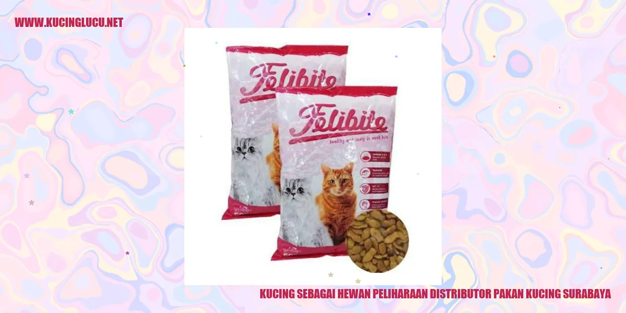 Kucing sebagai Hewan Peliharaan distributor pakan kucing surabaya