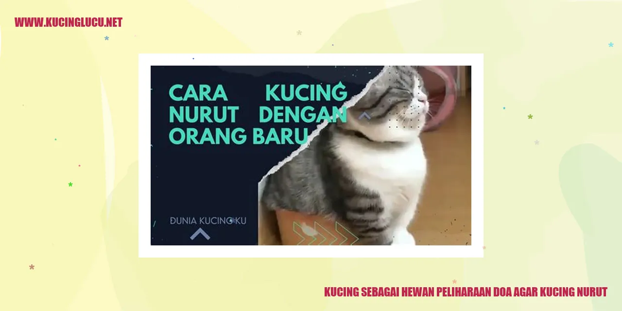 gambar kucing yang manis dan lucu