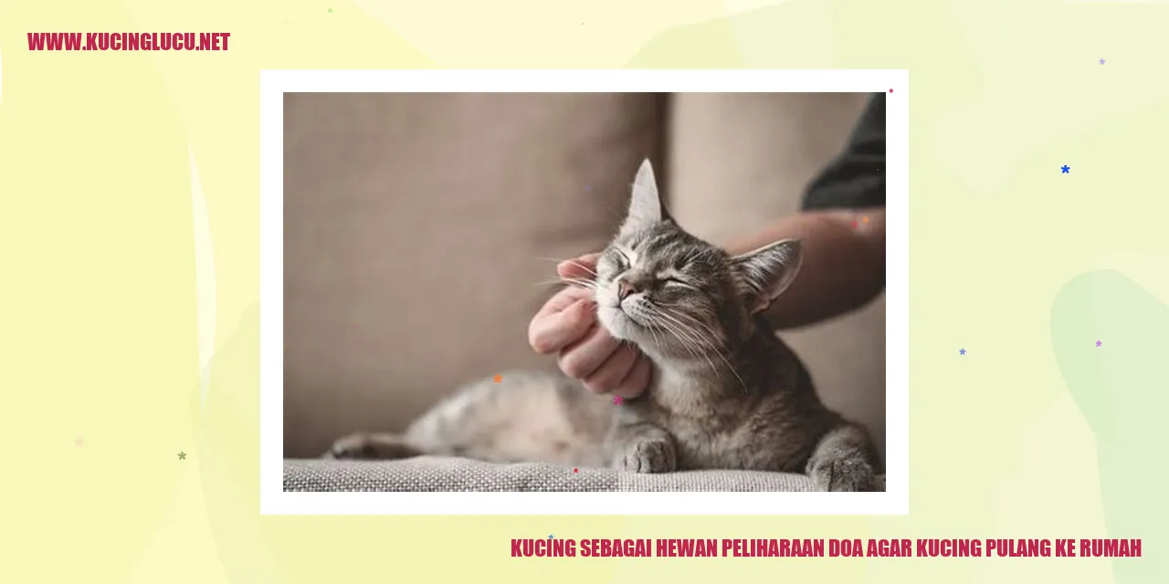 Gambar Kucing sebagai Hewan Piaraan