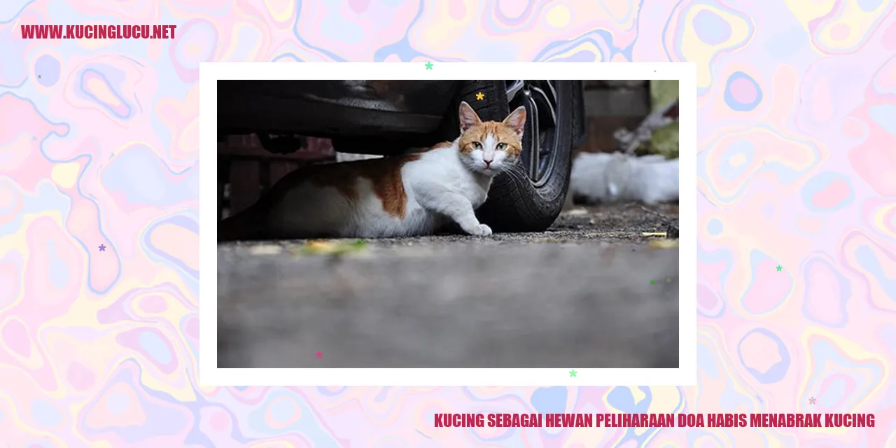 Kucing sedang bermain
