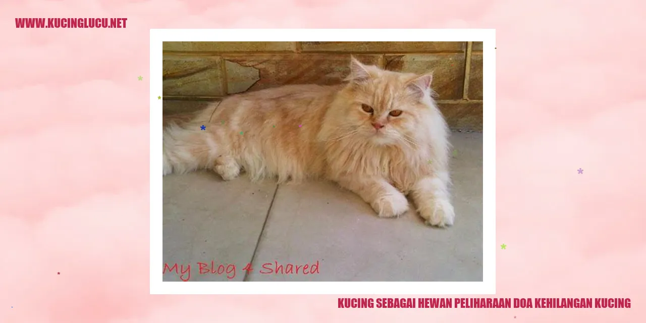 Kucing Hilang