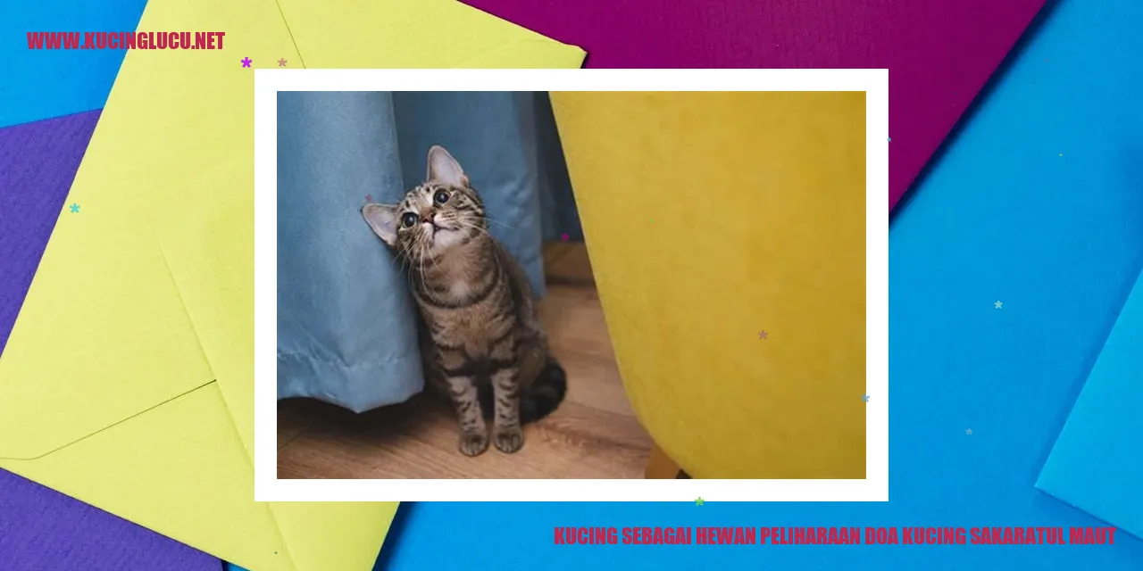 Gambar kucing yang menggemaskan