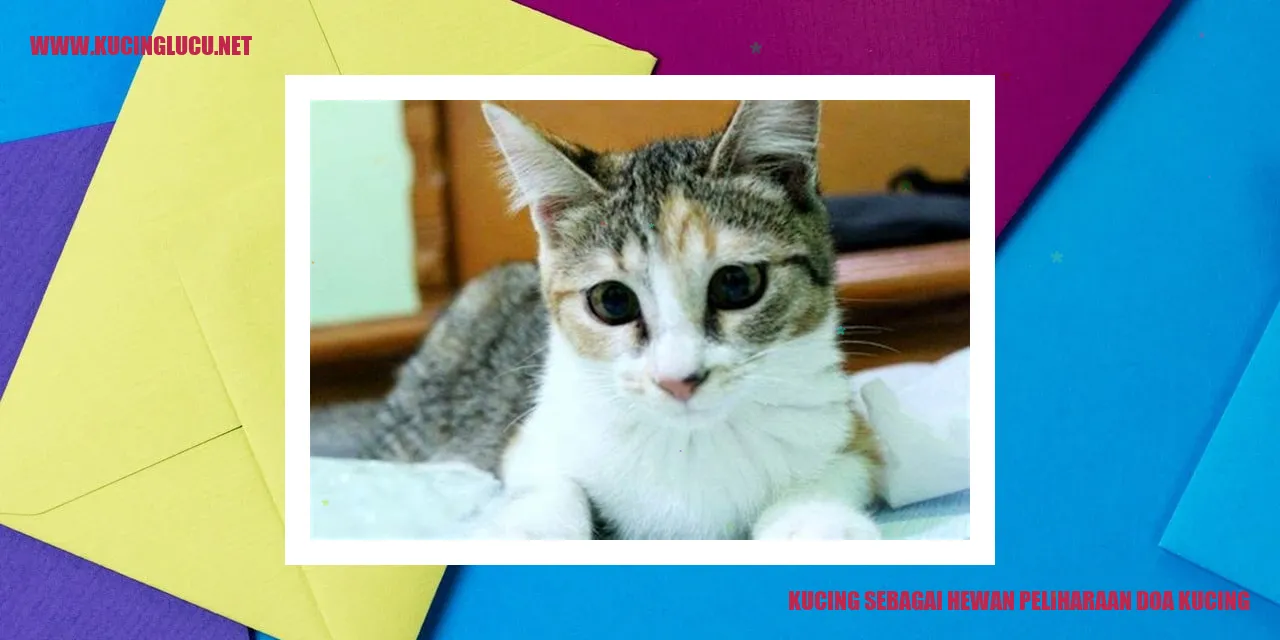 Kucing Lucu