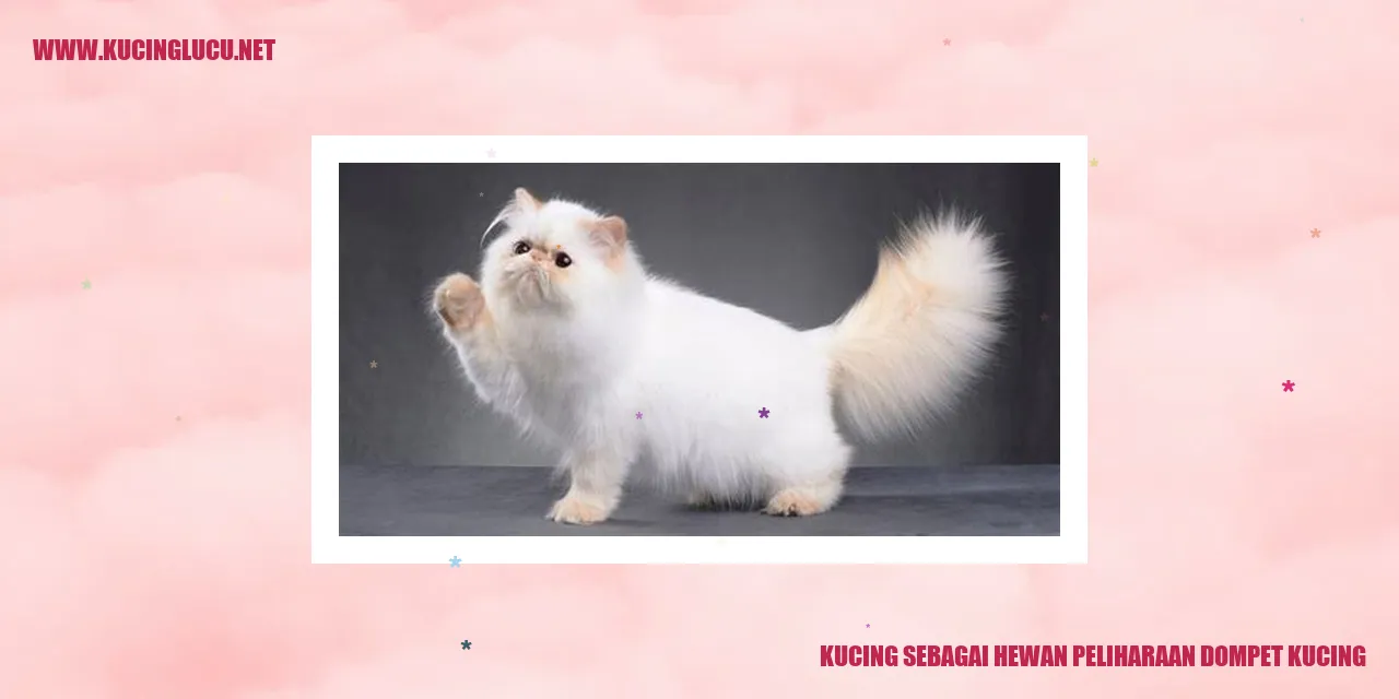 Kucing sebagai Hewan Peliharaan Dompet Kucing