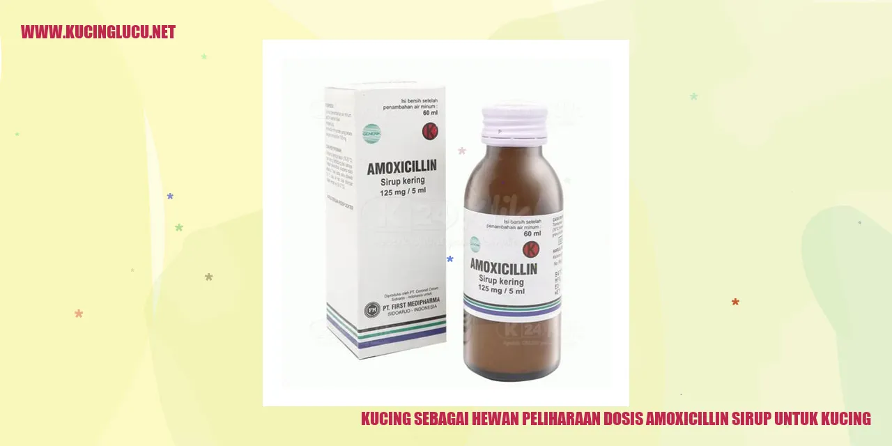 Kucing sebagai Hewan Peliharaan