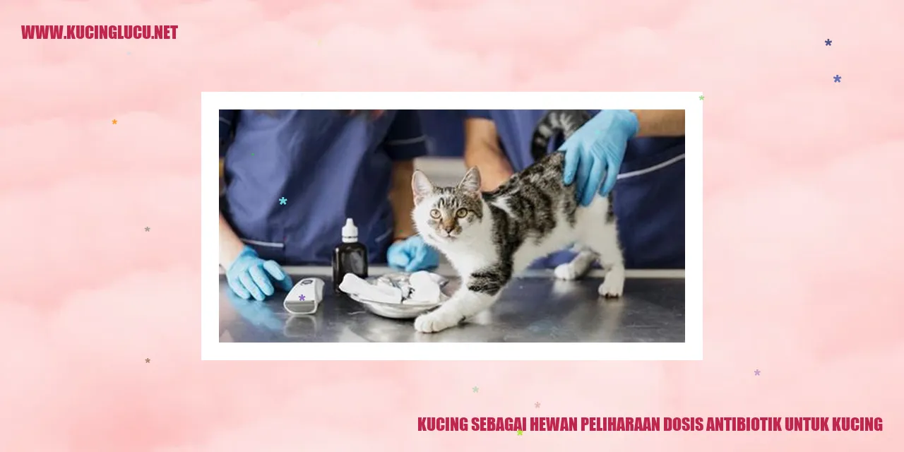 Kucing sebagai Hewan Peliharaan