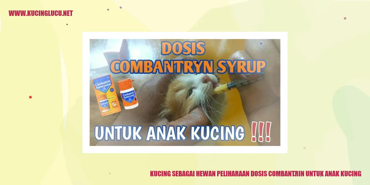 Tampak Kucing yang Menggemaskan