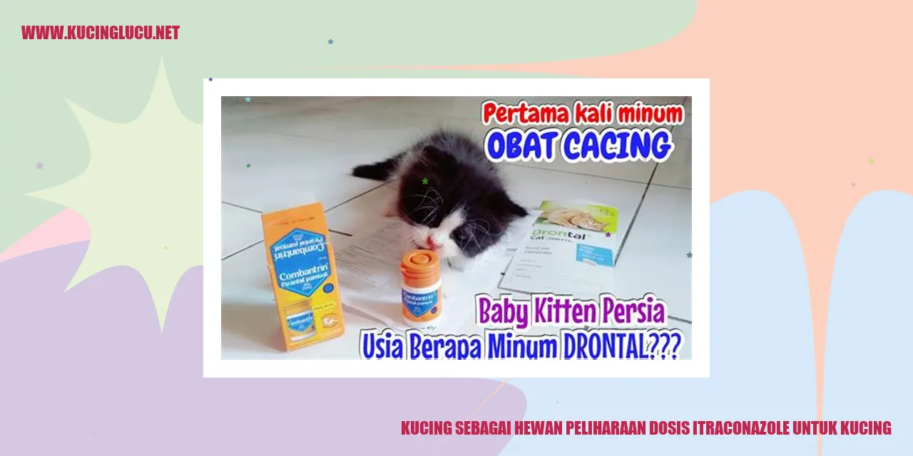Kucing sebagai Hewan Peliharaan