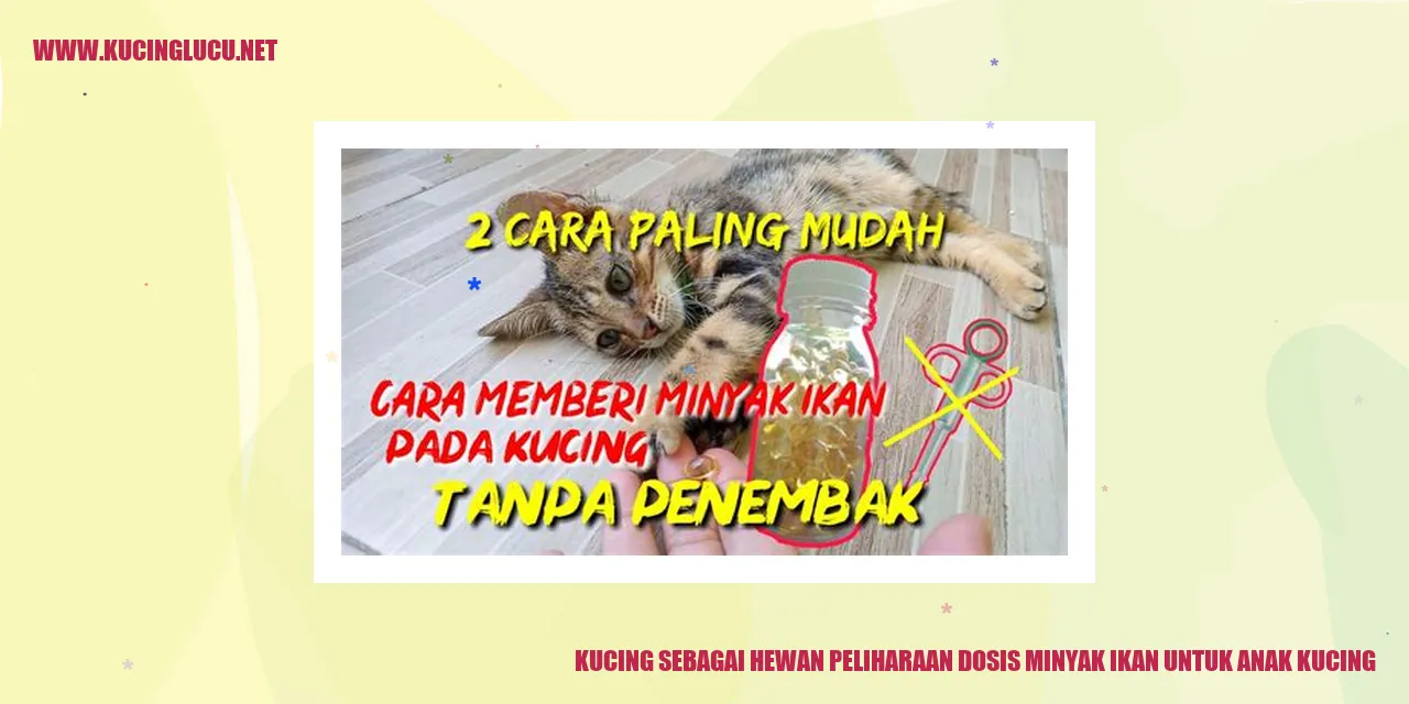 Gambar kucing yang lucu