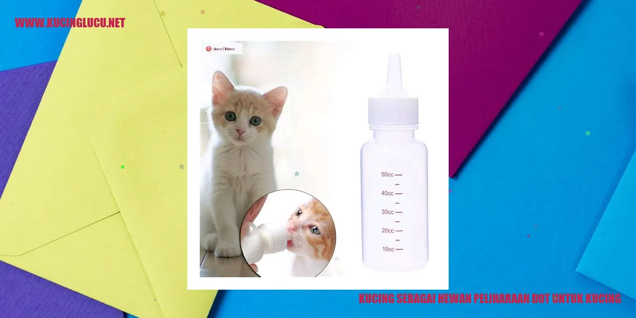 Kucing yang lucu dan menggemaskan