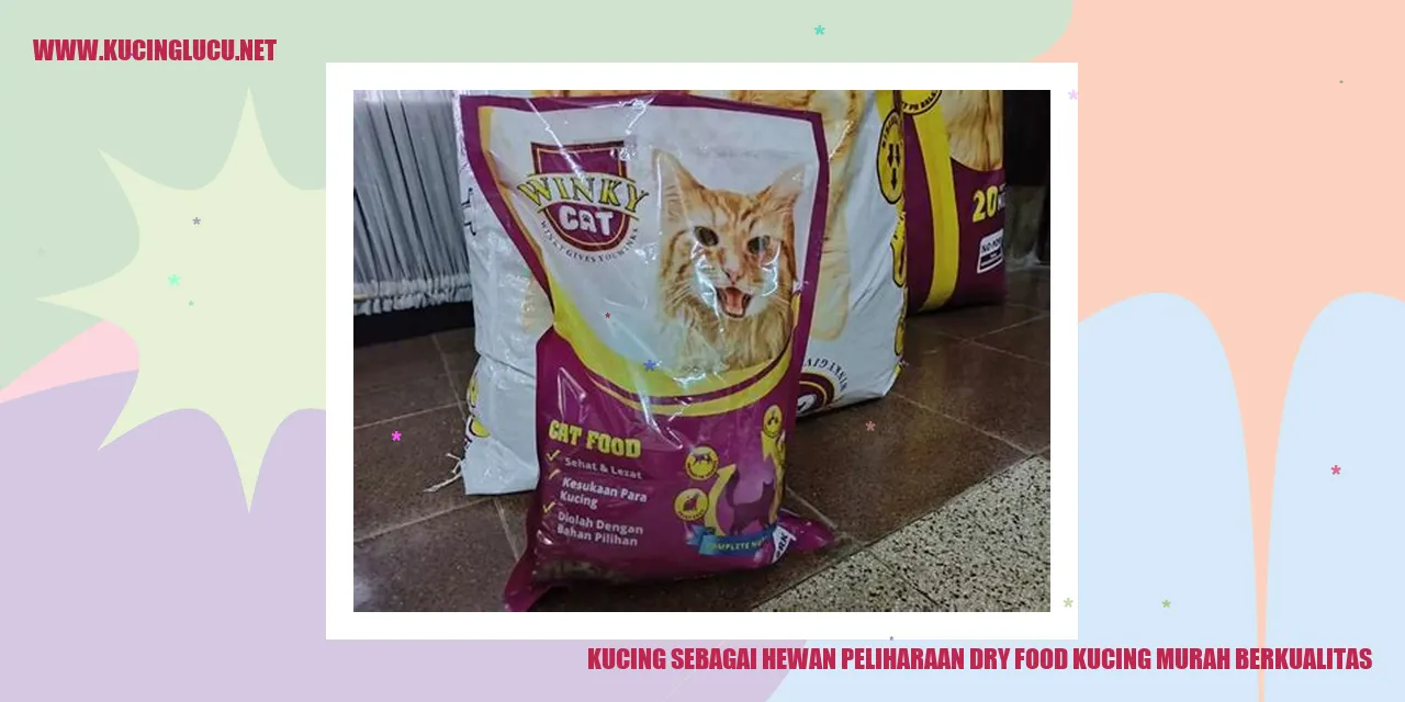 Gambar Kucing