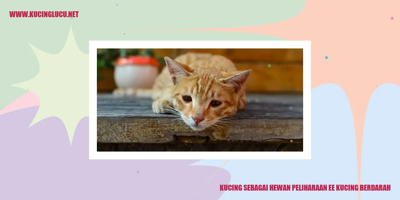 Kucing sebagai Hewan Peliharaan