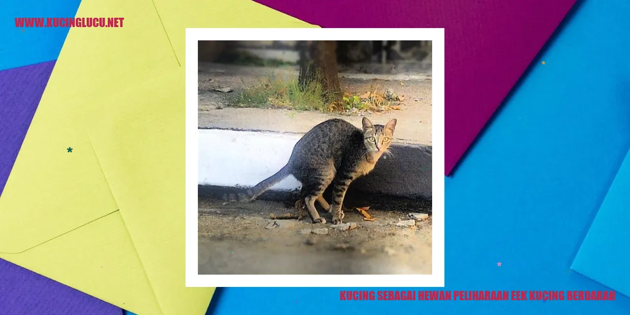 Kucing sebagai Hewan Peliharaan
