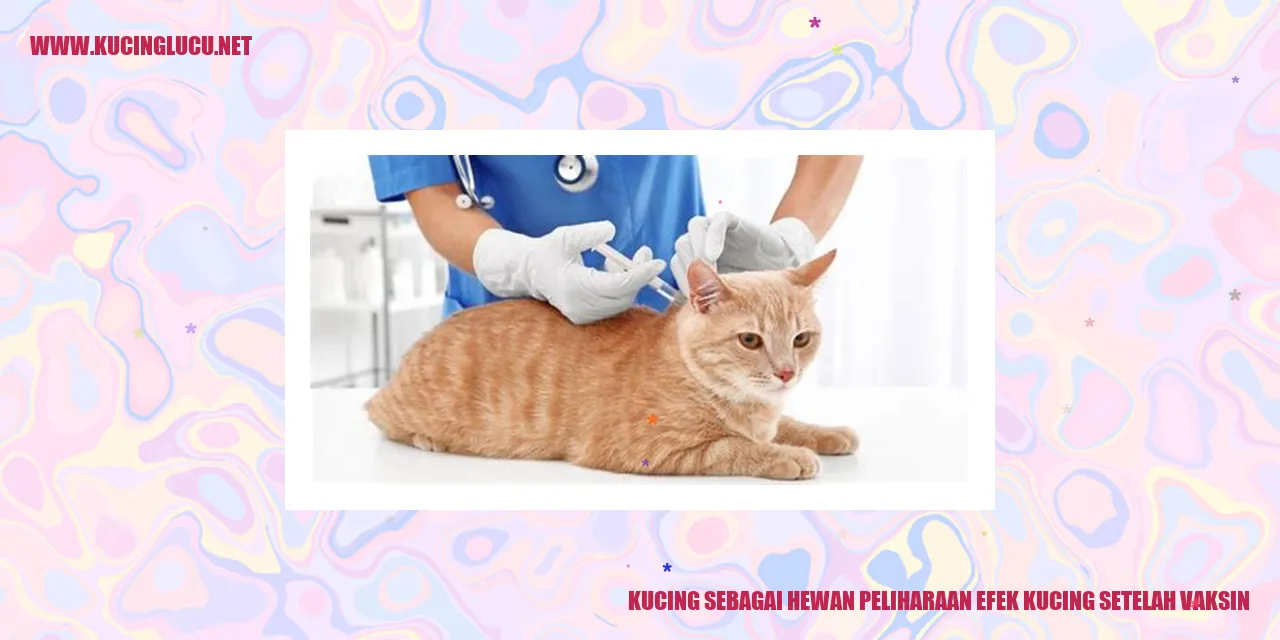 Kucing