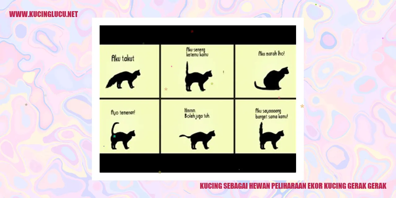 Kucing dengan Ekor yang Aktif
