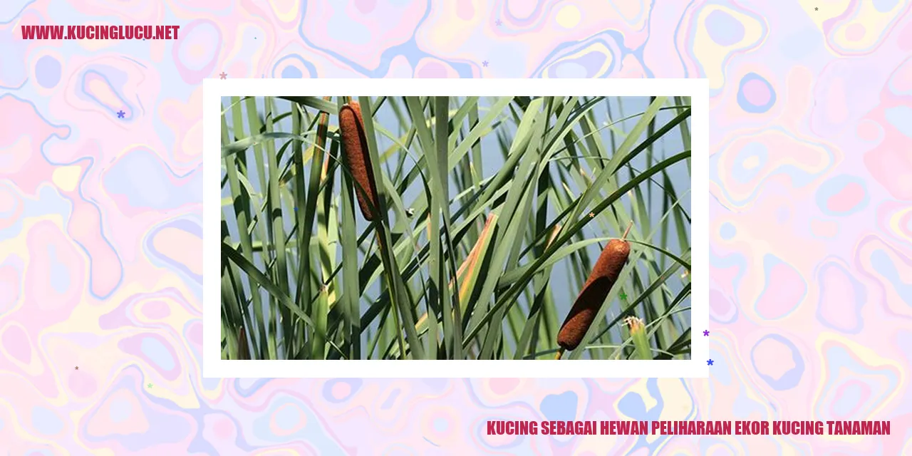Kucing sebagai Hewan Peliharaan