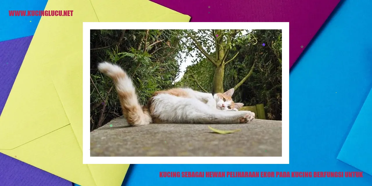 Kucing dengan ekor yang berfungsi