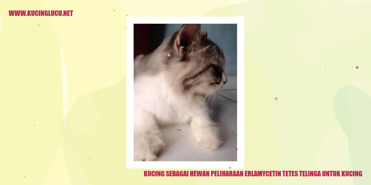 Kucing menggendong anak