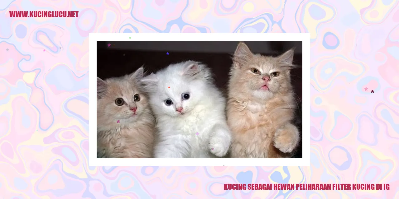 Kucing Sebagai Binatang Peliharaan