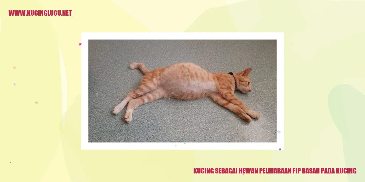 Gambar Kucing sebagai Hewan Peliharaan