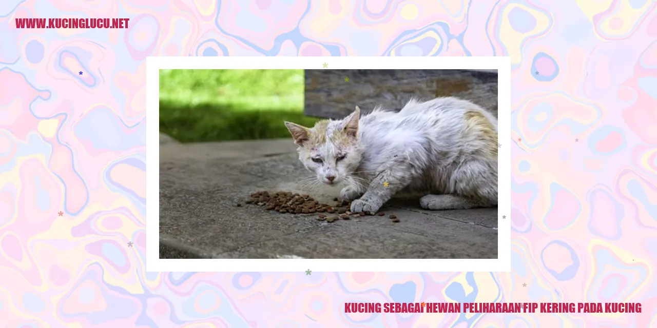 Kucing sebagai Hewan Peliharaan