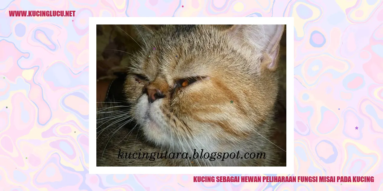 Gambar Kucing dengan Misai