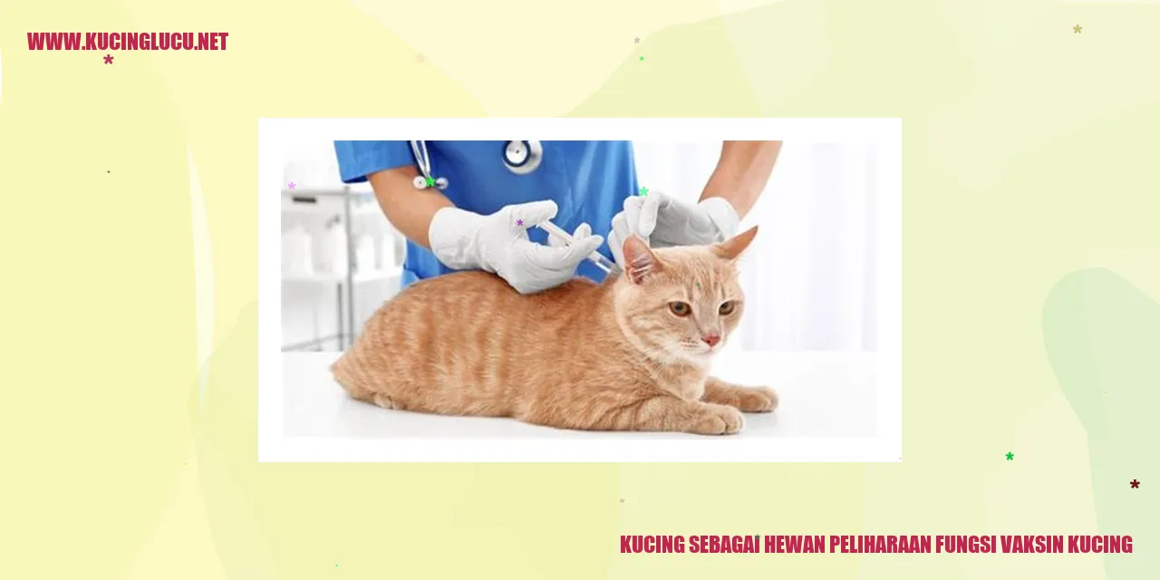 Gambar Kucing