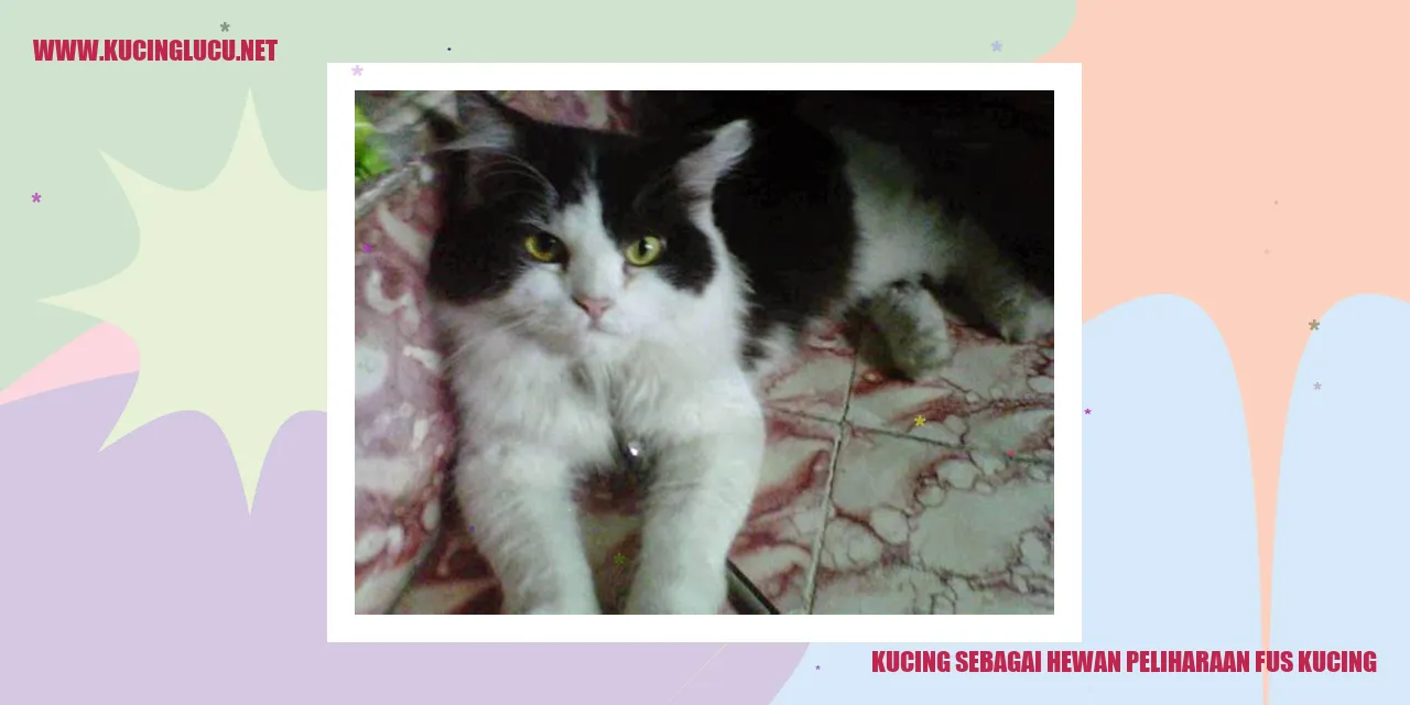 Kucing sebagai Hewan Peliharaan