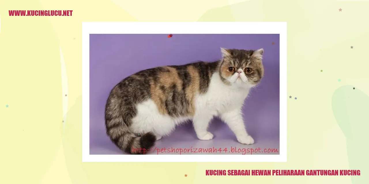 Kucing yang menggemaskan