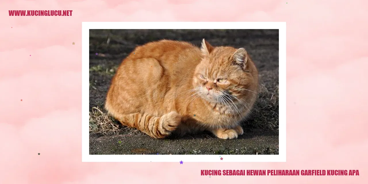 Gambar Kucing Peliharaan