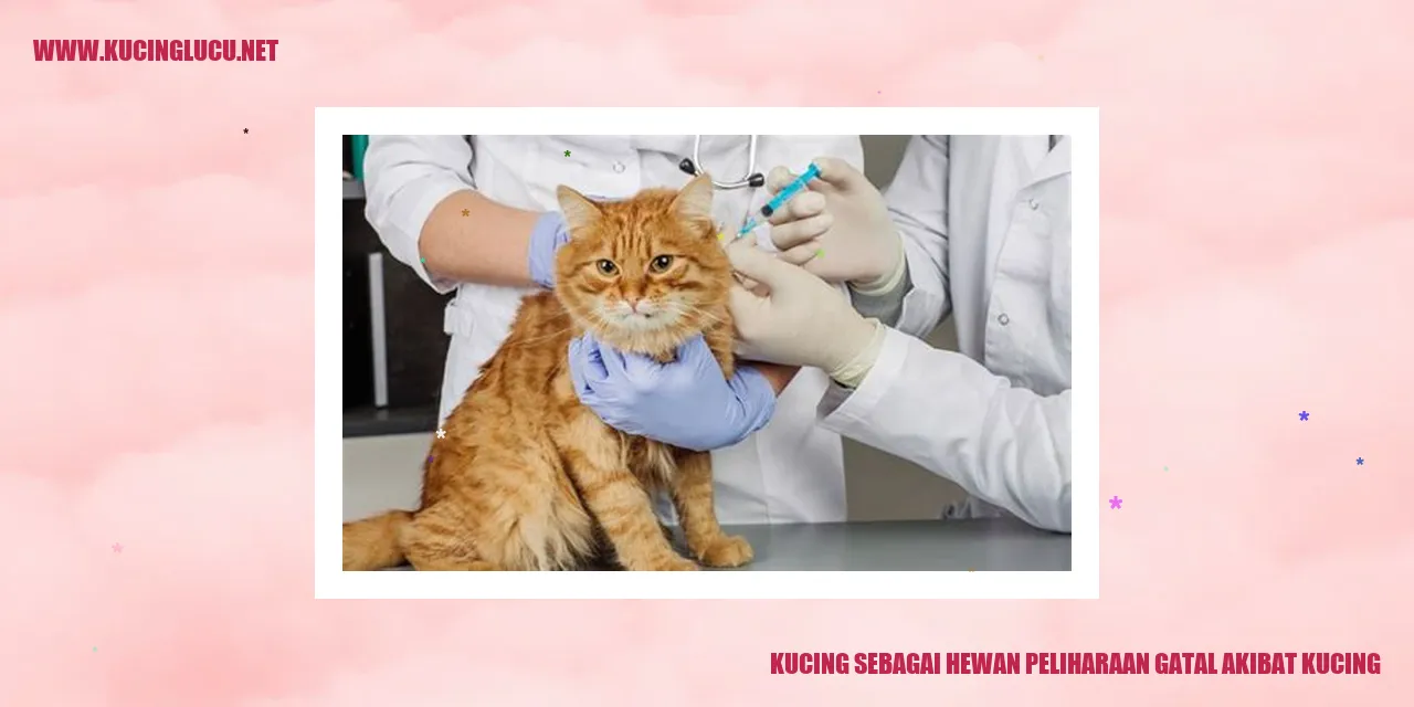 Kucing menggaruk tubuhnya