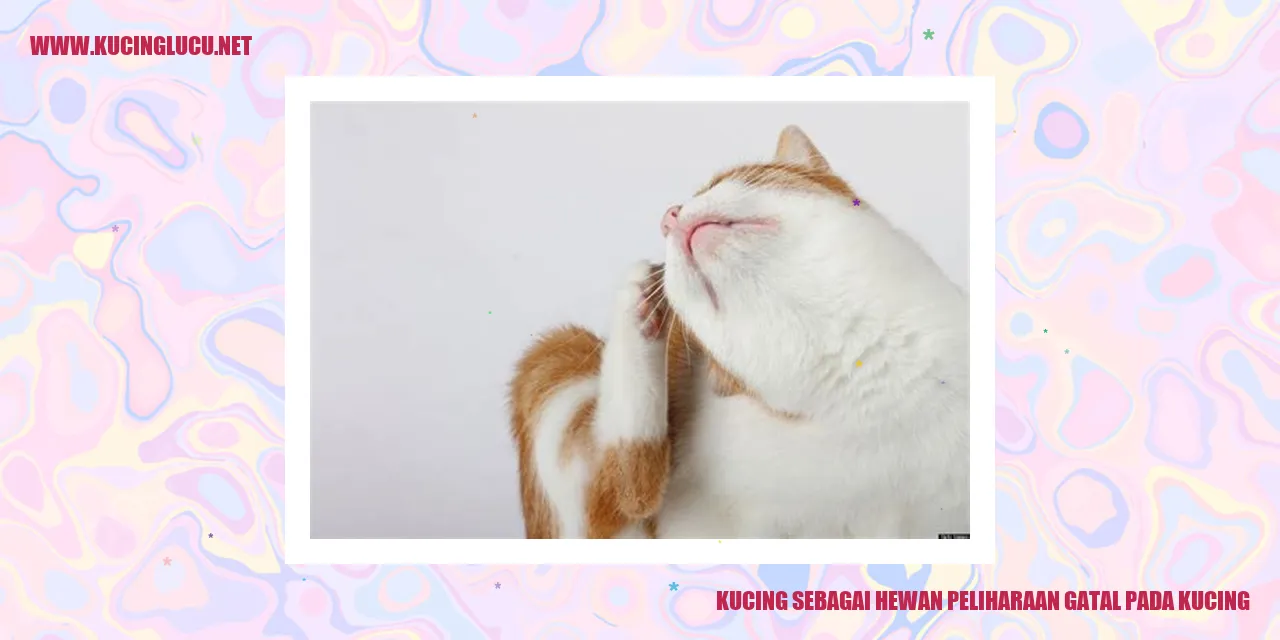 Kucing sebagai Hewan Peliharaan gatal pada kucing