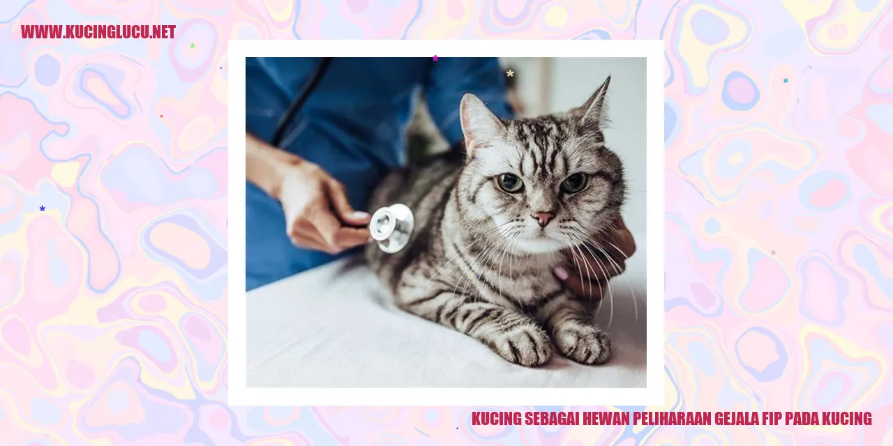 Kucing sebagai Hewan Peliharaan gejala fip pada kucing
