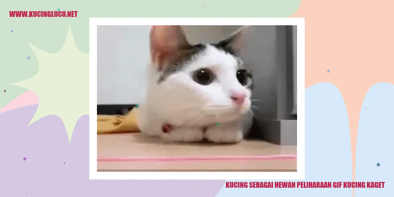 gif kucing kaget