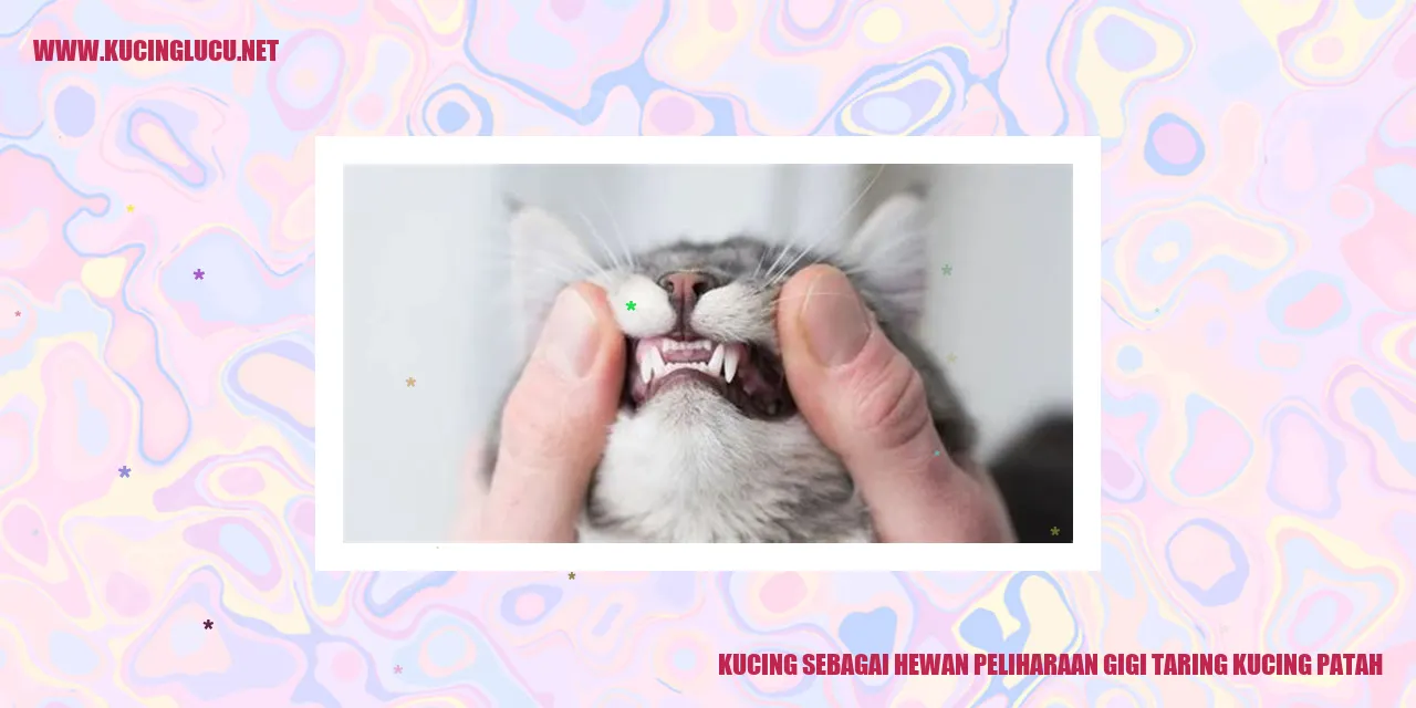 Kucing dengan gigi taring patah