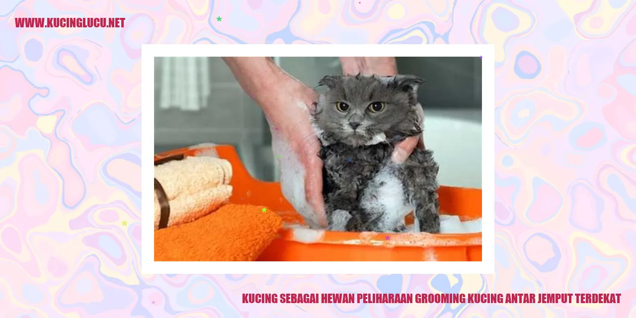 Kucing sebagai Hewan Peliharaan grooming kucing antar jemput terdekat